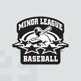 Minor league baseball 4